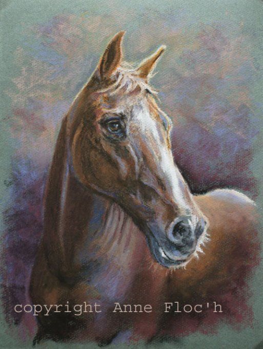 Pastel 24 x 32, encadré