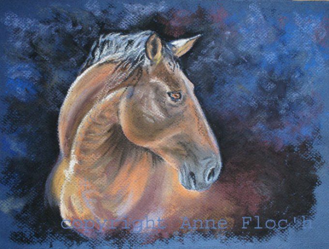 Pastel 24 x 32, encadré