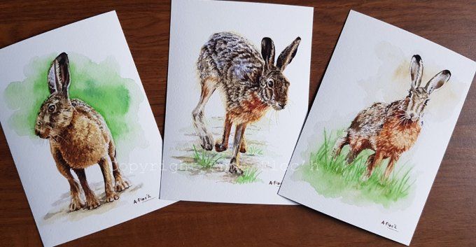 Triptyque de lièvres, 3 reproductions 13-18 sur papier d'Art